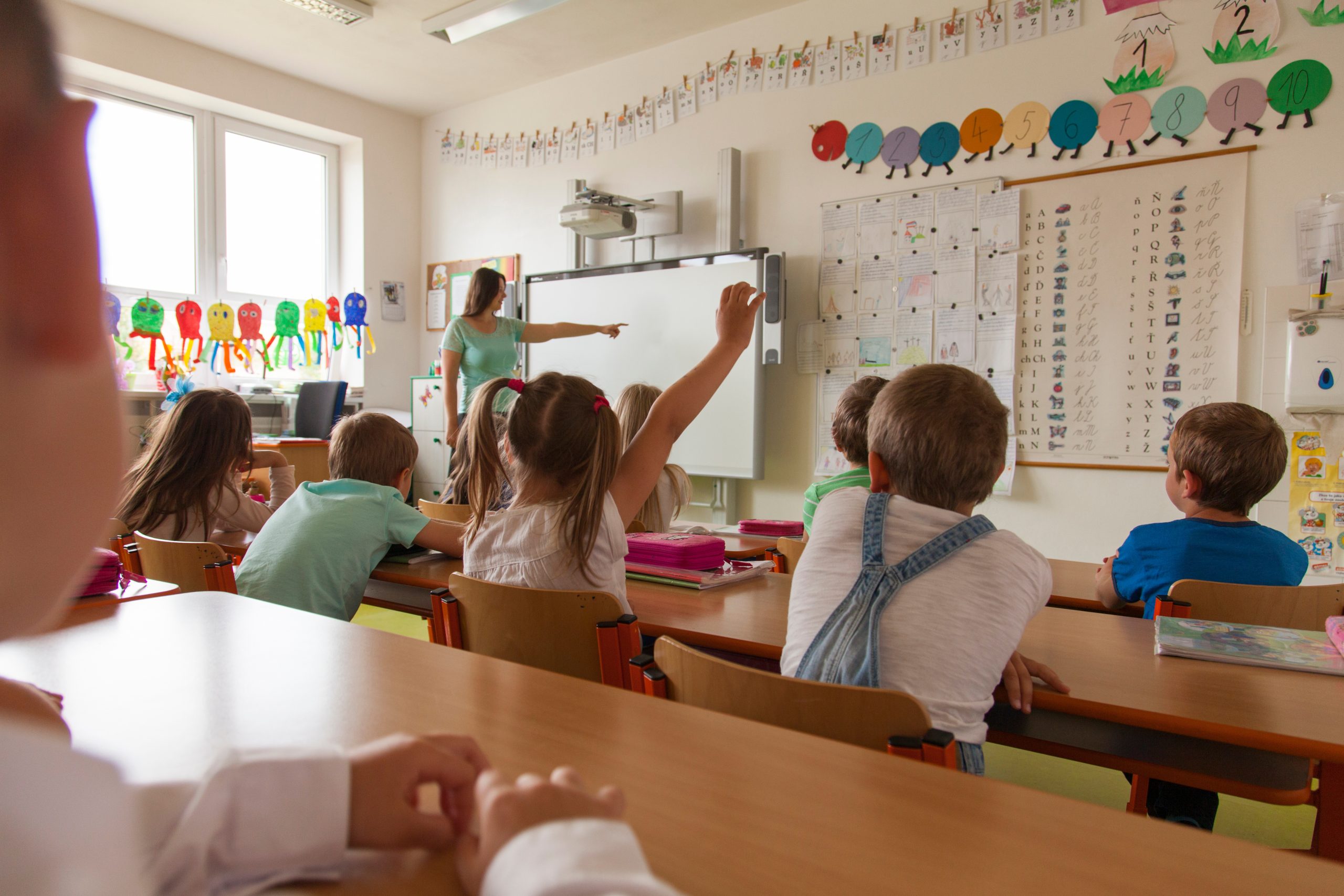 Lehrerin zeigt auf die interaktive Tafel. Grundschüler lernen und eine Schülerin meldet sich